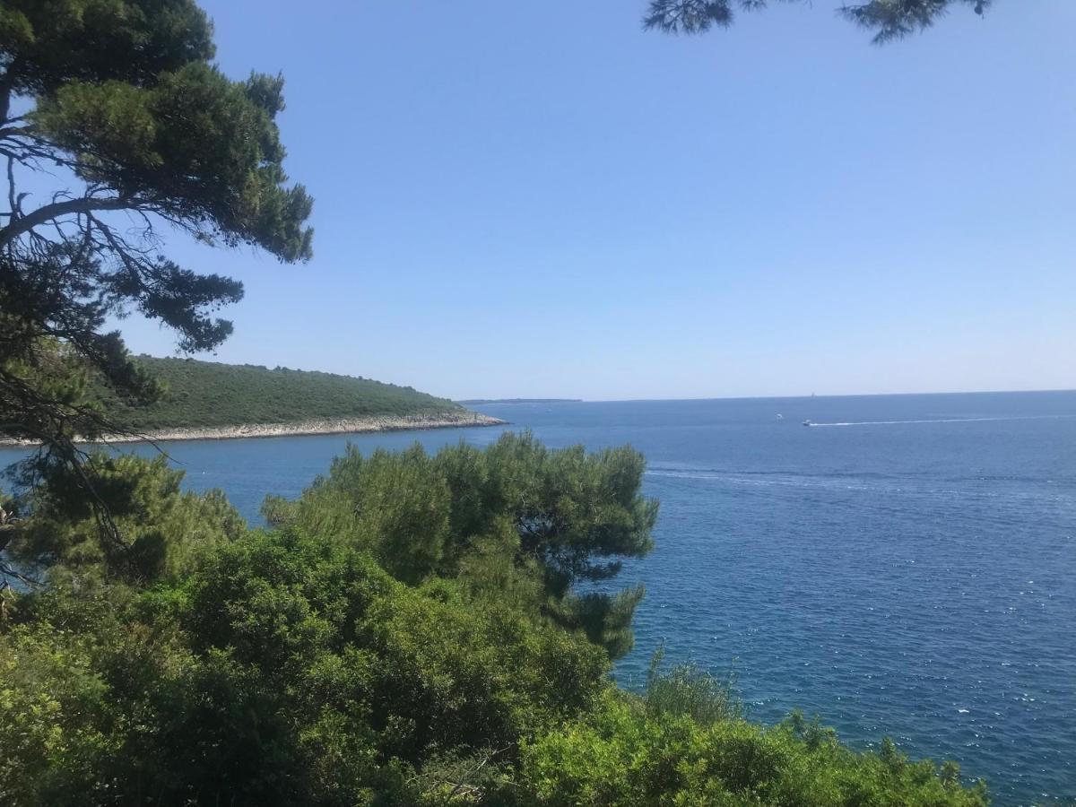 Villa Holiday Banjole Εξωτερικό φωτογραφία