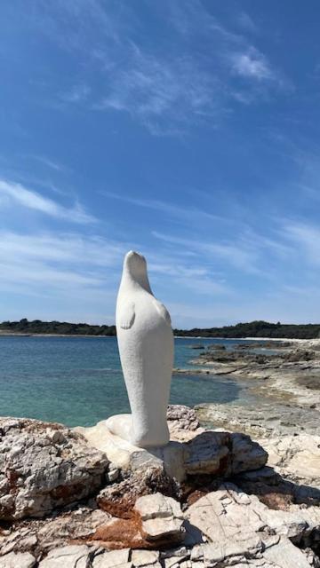 Villa Holiday Banjole Εξωτερικό φωτογραφία